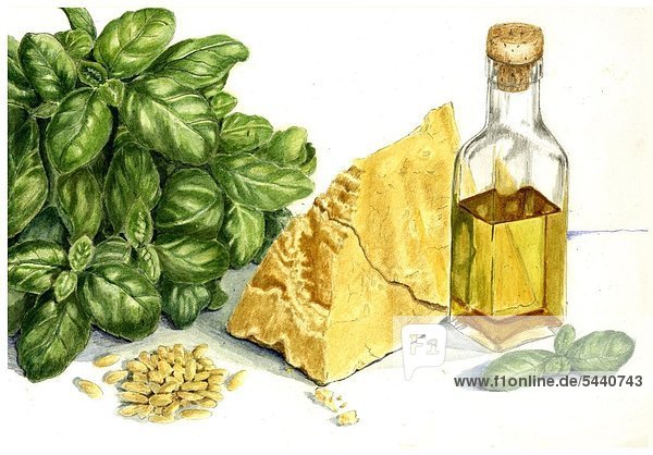 Illustration - 1 Bund Basilikum - 1 Stück Parmesankäse - Pinienkerne - 1 Flasche Olivenöl