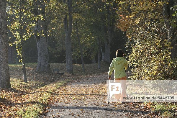 Junge Frau beim Nordic Walking an einen sonnigen Herbsttag