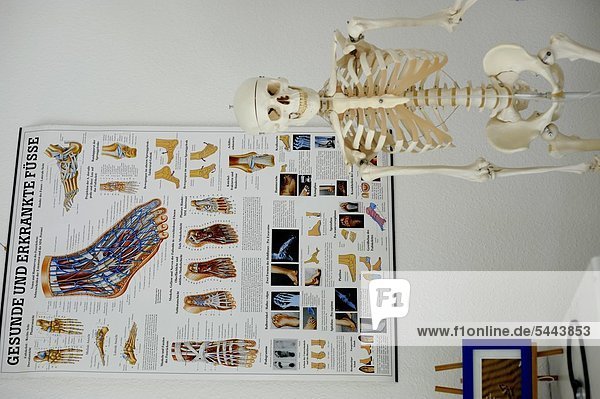 skeleton of a human being and poster about healthy and diseased feet in the treatment room of the podologist