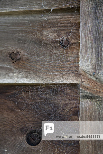 Detail von Spinnweben auf einer Holzwand