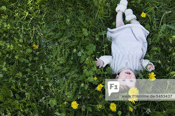 Ein fröhliches kleines Mädchen  das im Gras liegt und nach oben schaut.