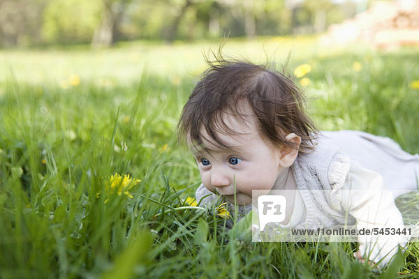 Ein kleines Mädchen  das im Gras krabbelt.