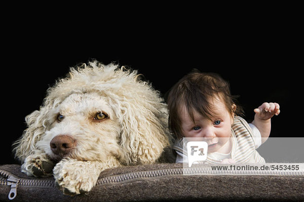 Ein Hund und ein Baby liegen nebeneinander auf dem Bauch.