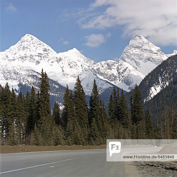 Highway in Richtung majestätische Bergkette  Golden  British Columbia  Kanada