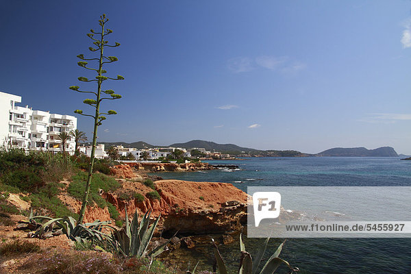 Küste von Es Canar  Ibiza  Balearen  Spanien  Europa