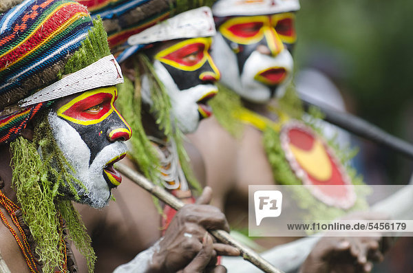 Tribal performers from the Anglimp District in Waghi Province  Western Highlands  performing at a Sing-sing  Hagen Show  Western Highlands  Papua New Guinea  Oceania