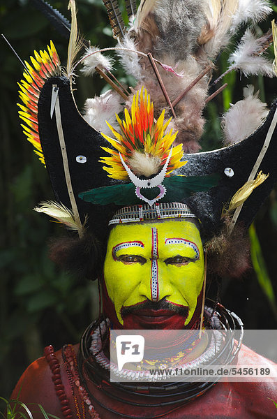 Huli Wigman from the Tari Valley in the Southern Highlands  wearing bird of paradise feathers and plumes  at a Sing-sing  Mt Hagen  Papua New Guinea  Oceania