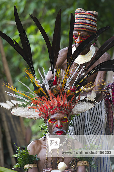 Performers from Jiwaka tribe in the Western Highlands  wearing Black Sicklebill and other bird of paradise feathers and plumes  at the Paiya show  Sing-sing in Western Highlands  Papua New Guinea  Oceania