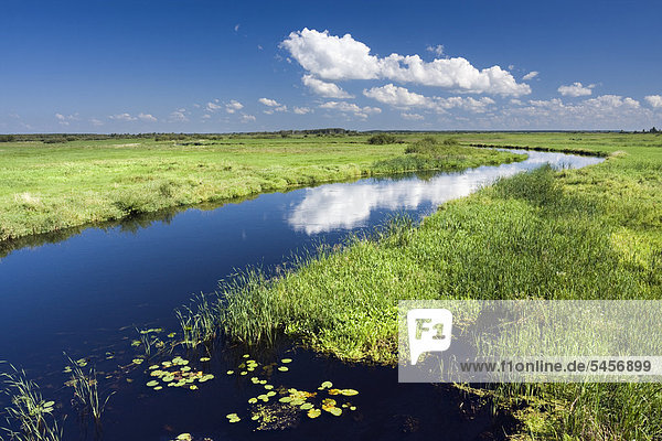 Biebrza-Fluss in der Nähe von Dolistowo Stare Biebrzanski Nationalpark Polen Europa