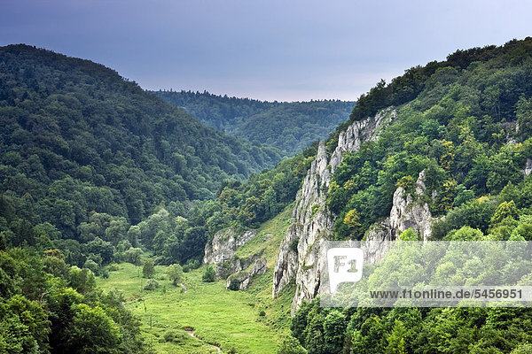 Der Berg Gora Korona Ojcowski-Nationalpark Polen Europa