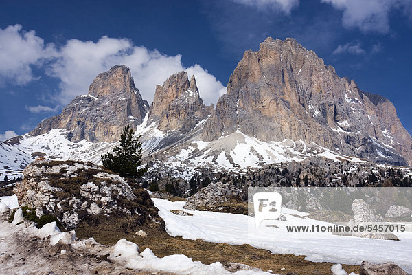 Der Gipfel vom Langkofel oder Sassolungo vom Sellajoch oder Passo Sella Dolomiten Italien Europa