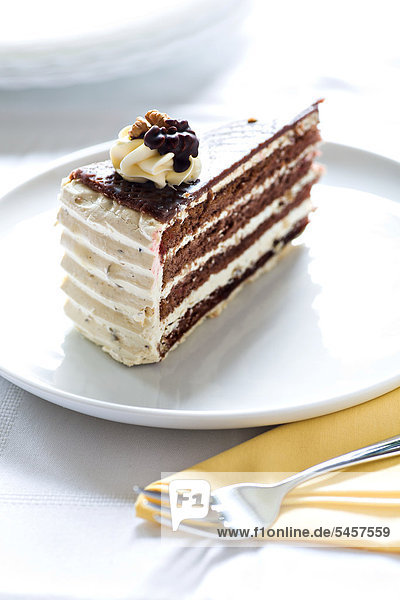 A piece of chocolate walnut cake