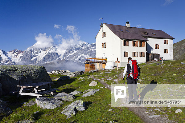 Wanderer vor der Düsseldorfhütte mit Blick auf den Ortler  Zebru und König oberhalb von Sulden  Suldental  Südtirol  Italien  Europa