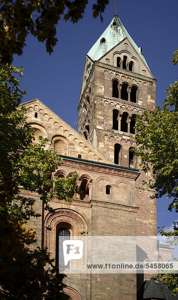 Speyerer Dom  Domkirche St. Maria und St. Stephan  Speyer  Oberrhein  Rheinland-Pfalz  Deutschland  Europa