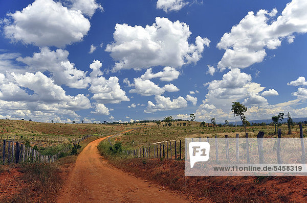 Vast pastures under a cloudy sky Chapada Diamantina Bahia Brazil South America