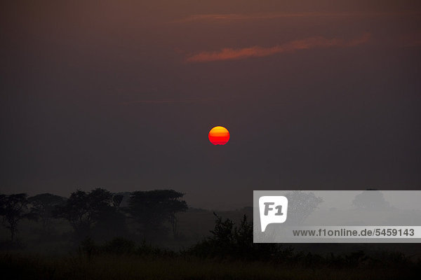 Sonnenaufgang über dem Queen Elisabeth Nationalpark  westliches Uganda  Afrika