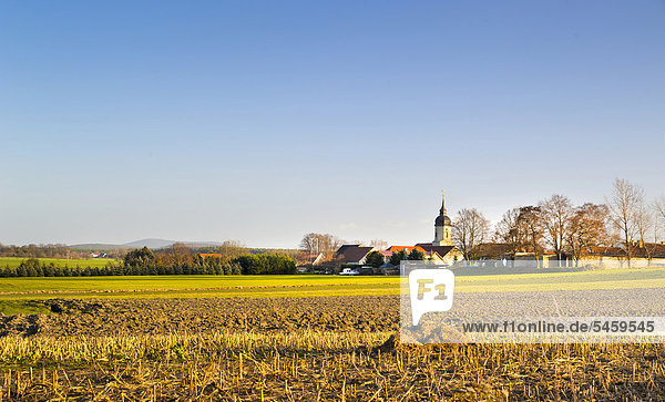 View of the edge of a field in autumn near Dobra  Saxony  Germany  Europe  PublicGround