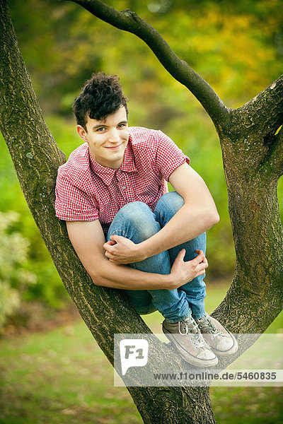 Jugendlicher  Junge - Person  Baum  klettern