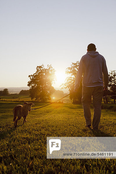 Man walking dog in rural field