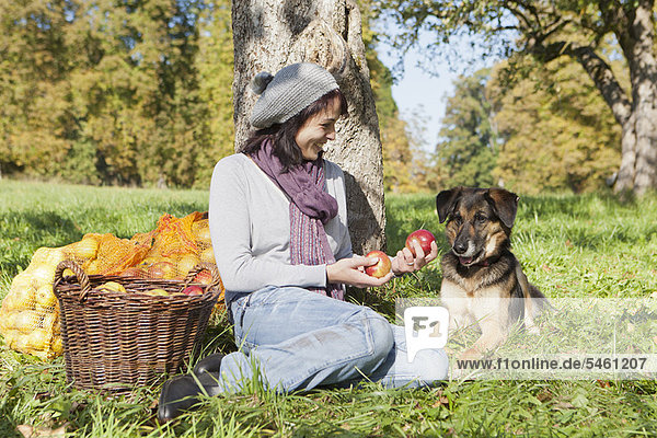 Frau pflückt Äpfel mit Hund