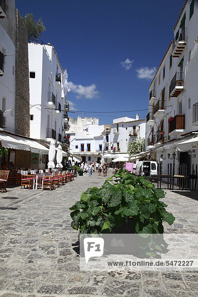 Typical street of Dalt Vila  fortified town  UNESCO World Heritage Site  Ibiza  Balearic Islands  Spain  Europe