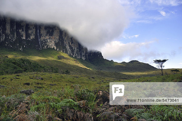 Steilwand Vom Tafelberg Roraima Mit Wolken Hochster Berg Brasiliens Im Vordergrund Die Gran Sabana Dreilandereck Brasilien Venezuela Guyana Auf Der Hochebene Sudamerika