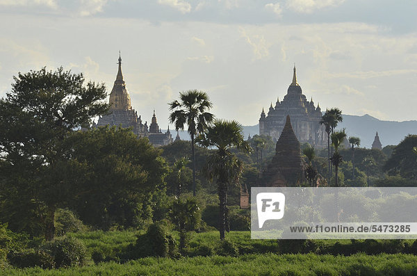 Aufsteigender Rauch  Nebel und Abendlicht zwischen den Feldern  Tempel und Pagoden  Ananada Tempel und Thatbyinnyu Tempel  Bagan  Myanmar  Burma  Birma  Südostasien  Asien