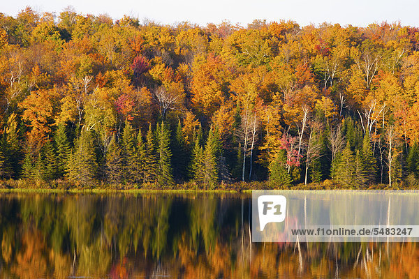 Herbstlicher Wald und See  South Bolton  Quebec  Kanada