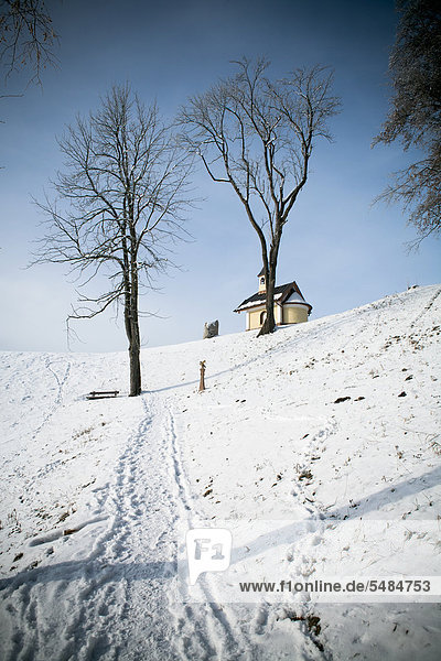 Kapelle in der Nähe von Berchtesgaden,  Berchtesgadener Land im Winter,  Alpen,  Bayern,  Deutschland,  Europa