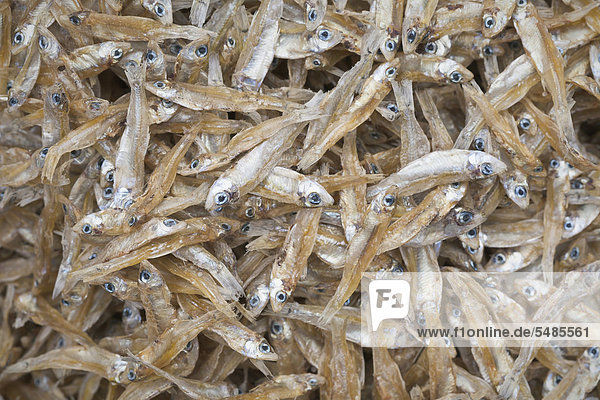Closeup of small dried fish for sale at the morning market in Luang Prabang  Laos  Southeast Asia