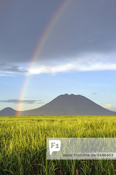Zuckerrohrfelder mit Regenbogen  Blick auf den Vulkan Usulatan  El Salvador  Zentralamerika  Lateinamerika