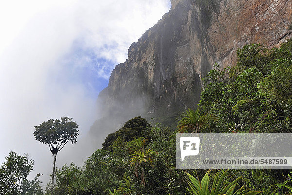 Fluss Vor Tafelberg Kukunan Trek Zum Tafelberg Roraima Hochster Berg Brasiliens Dreilandereck Brasilien Venezuela Guyana Auf Der Hochebene Sudamerika