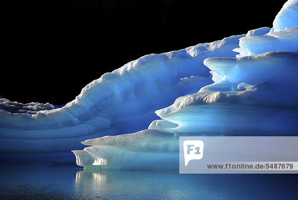 Intensely glowing blue icebergs in Lago Argentino  El Calafate  Patagonia  Argentina  South America