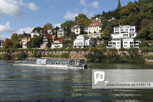 Tourist boat passing villas on the Neckar River  Heidelberg  Baden-Wuerttemberg  Germany  Europe