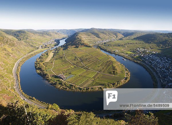 Deutschland  Rheinland-Pfalz  Bremm  Blick auf gewundene Mosel und Weinberg von calmont