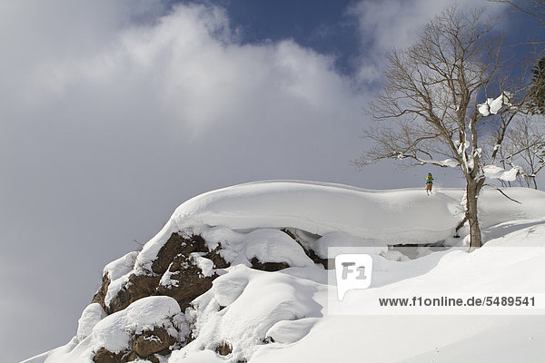 Japan  Hokkaido  Man doing telemark skiing
