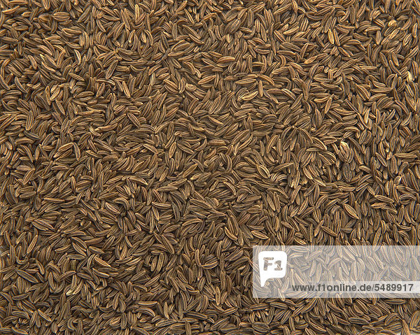 Full frame of caraway seed