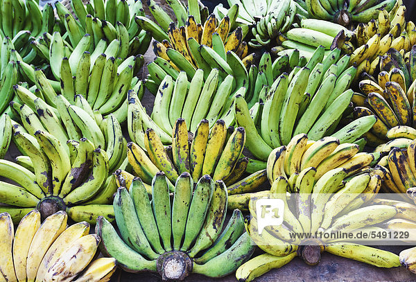 Indonesien  Bali Island  Denpasar  Bananen im Obststand am Markt