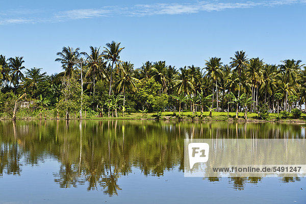 Indonesien  Lombock  Blick auf Palmen  die sich im Wasser spiegeln