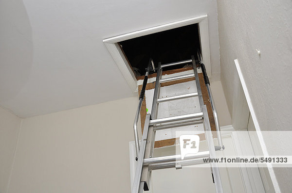 Loft ladder hatch access