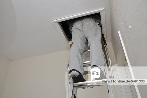 Man climbing loft ladder