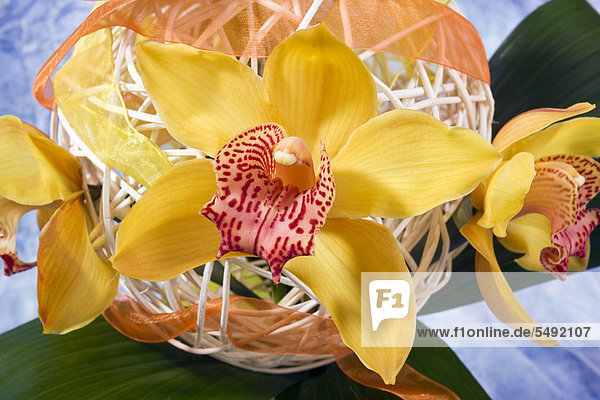 Blumengesteck mit Orchideen (Orchideen)