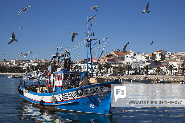 Fischerboot kehrt mit Fang zurück  Fischereihafen  Lagos  Algarve  Portugal  Europa