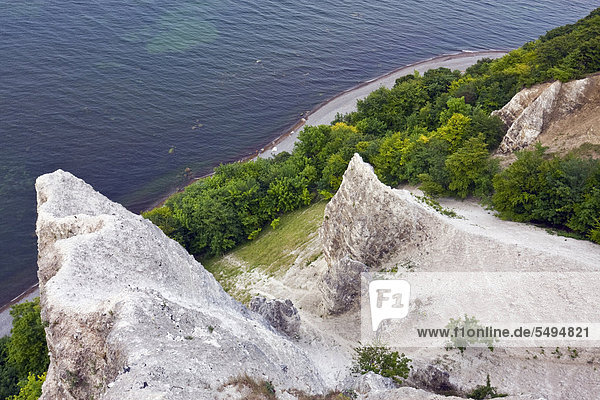 Kreidefelsen  Blick von der Aussichtsplattform auf die Victoria-Sicht  Nationalpark Jasmund  Rügen  Mecklenburg-Vorpommern  Deutschland  Europa