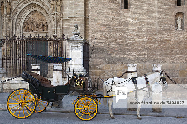 Pferd mit Kutsche vor der Kathedrale von Sevilla  Sevilla  Andalusien  Spanien  Europa