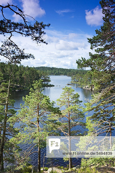 Der See Stora Trehörningen  Tiveden Nationalpark  Schweden  Skandinavien  Europa