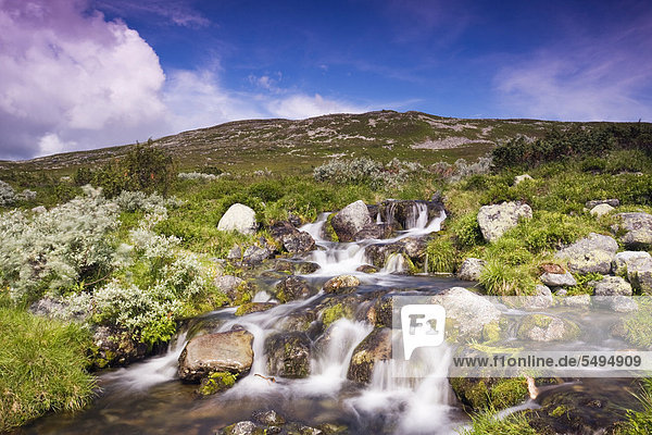 Landschaft mit Bach Femundsmarka-Nationalpark Provinz Hedmark Norwegen Skandinavien Europa