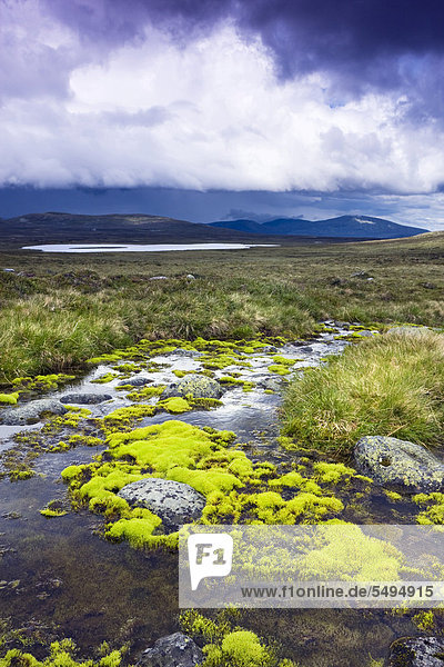 Landschaft mit dem kleinen Grovelsjön See Femundsmarka-Nationalpark Provinz Hedmark Norwegen Skandinavien Europa