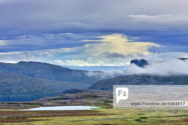Hügelige Landschaft im Femundsmarka-Nationalpark  Provinz Hedmark  Norwegen  Skandinavien  Europa