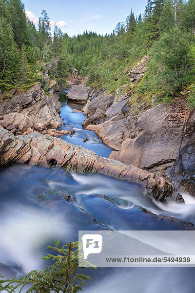 Torsbjørka oder Torsbjoerka Fluss Skarvan und Roltdalen Nationalpark Skarvan og Roltdalen Provinz Nord-Trøndelag Norwegen Skandinavien Europa